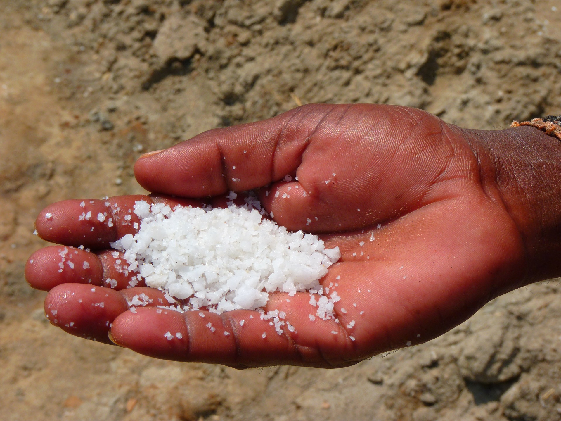 salt-hand 51973 1920