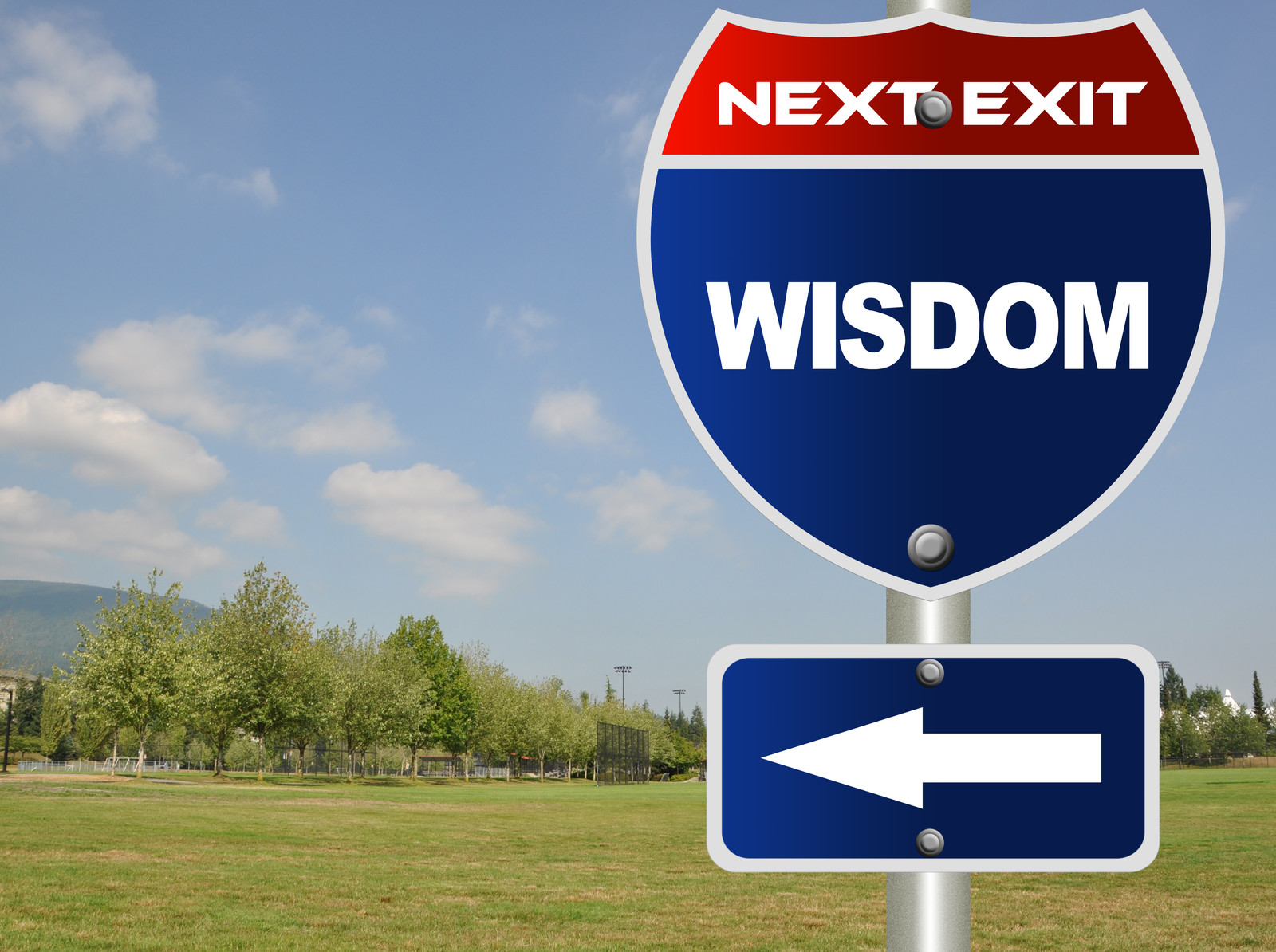 wisdom
