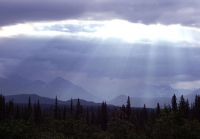 Praise God by Name in New Hymn